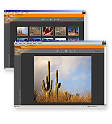 Photo-gallery templates: Orange